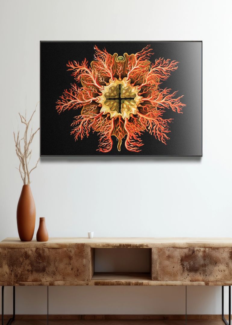 Colorful tunicate marine life III