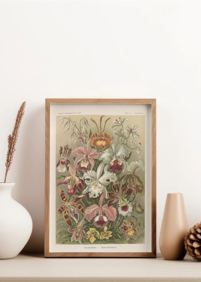 Flowers illustration
