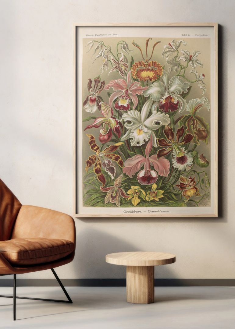 Flowers illustration
