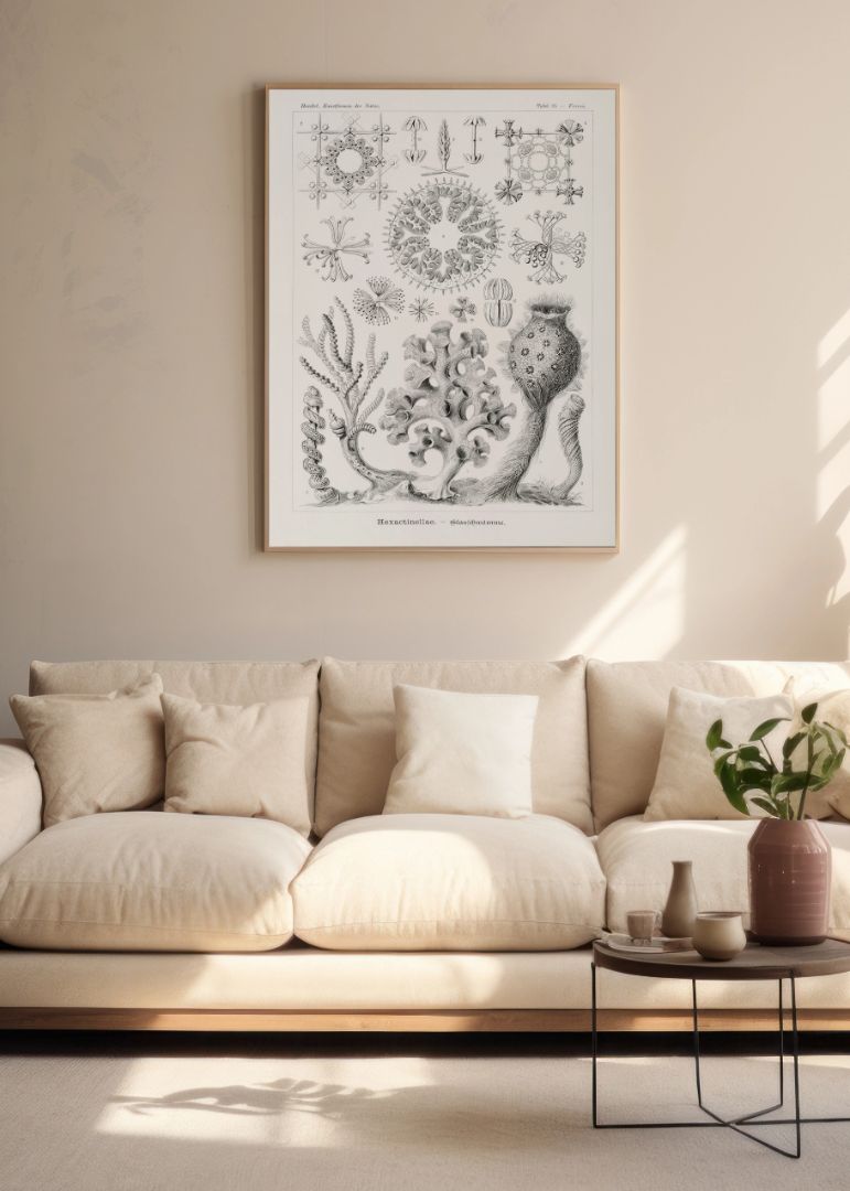 Hexactinellae–Glasschwämme