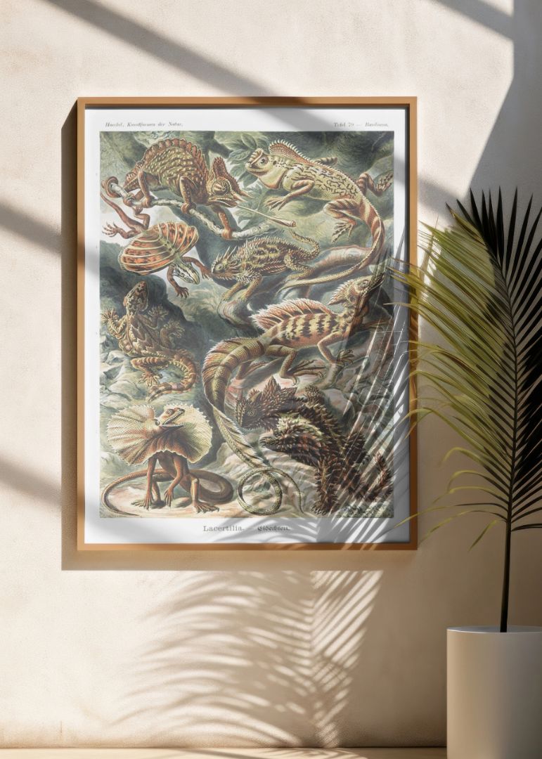 Lacertilia–Eidechlen