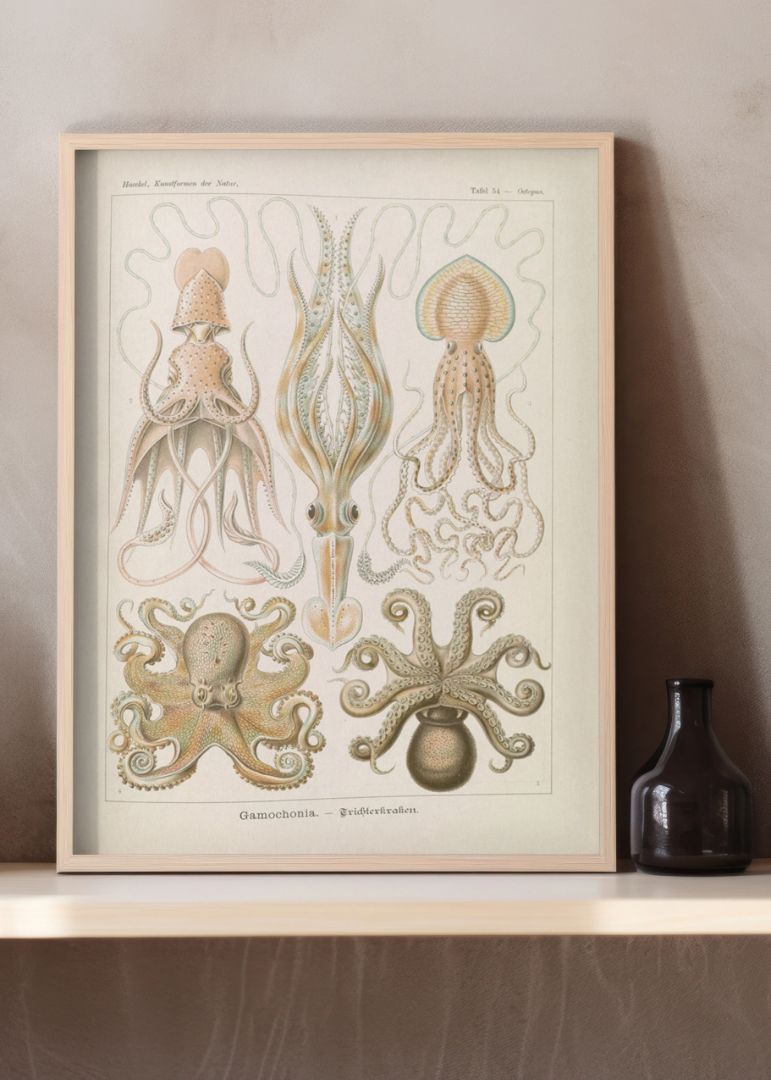Marine life illustration IX