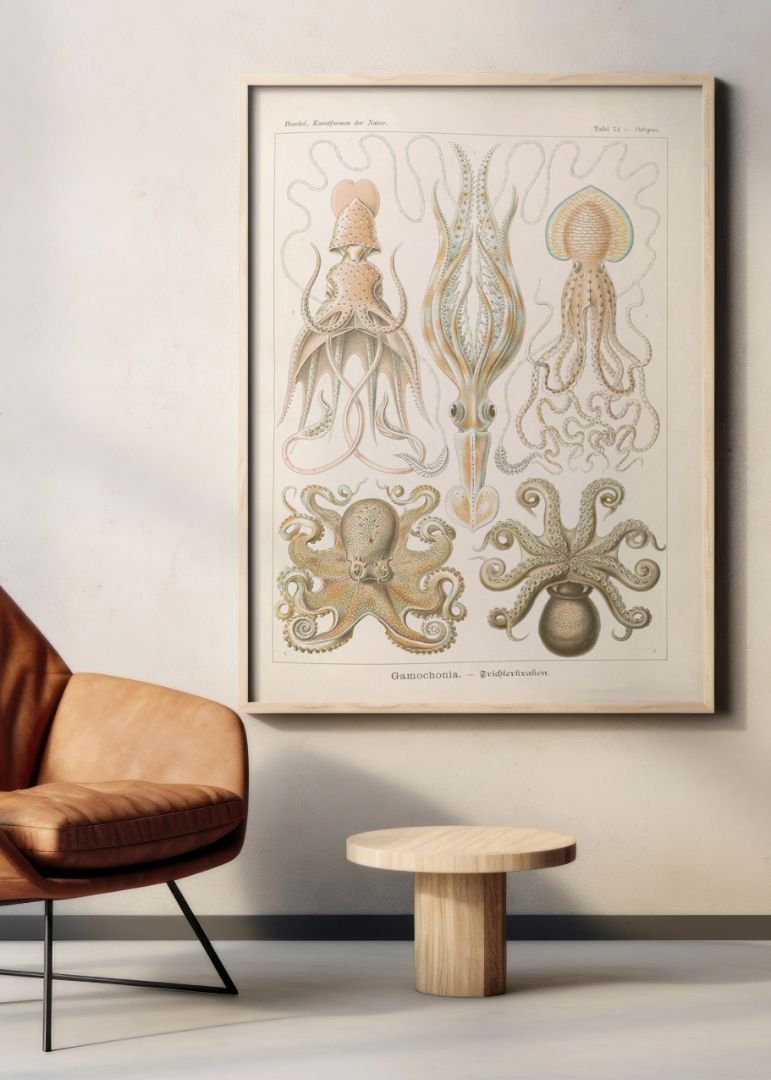 Marine life illustration IX