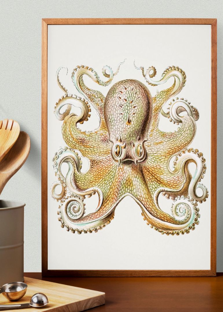 Octopus marine life illustration
