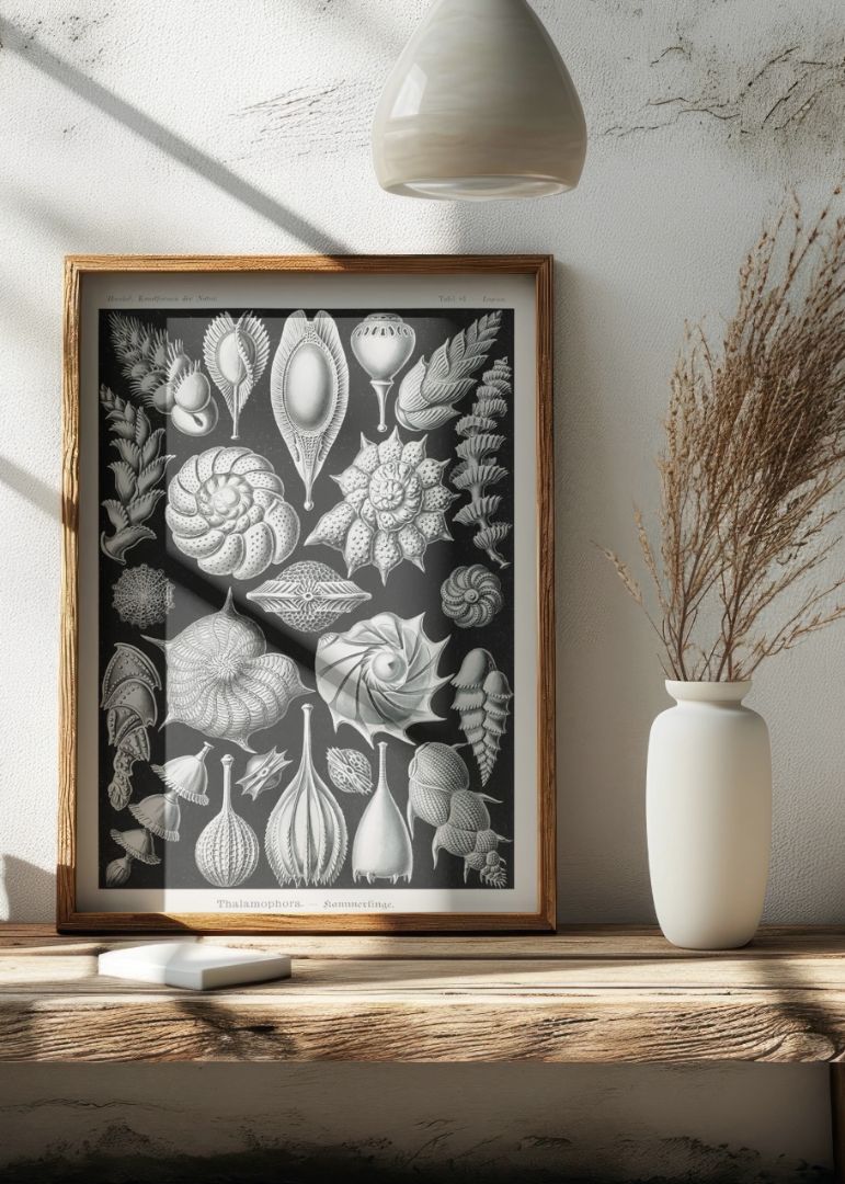 Thalamophora–Kammerlinge