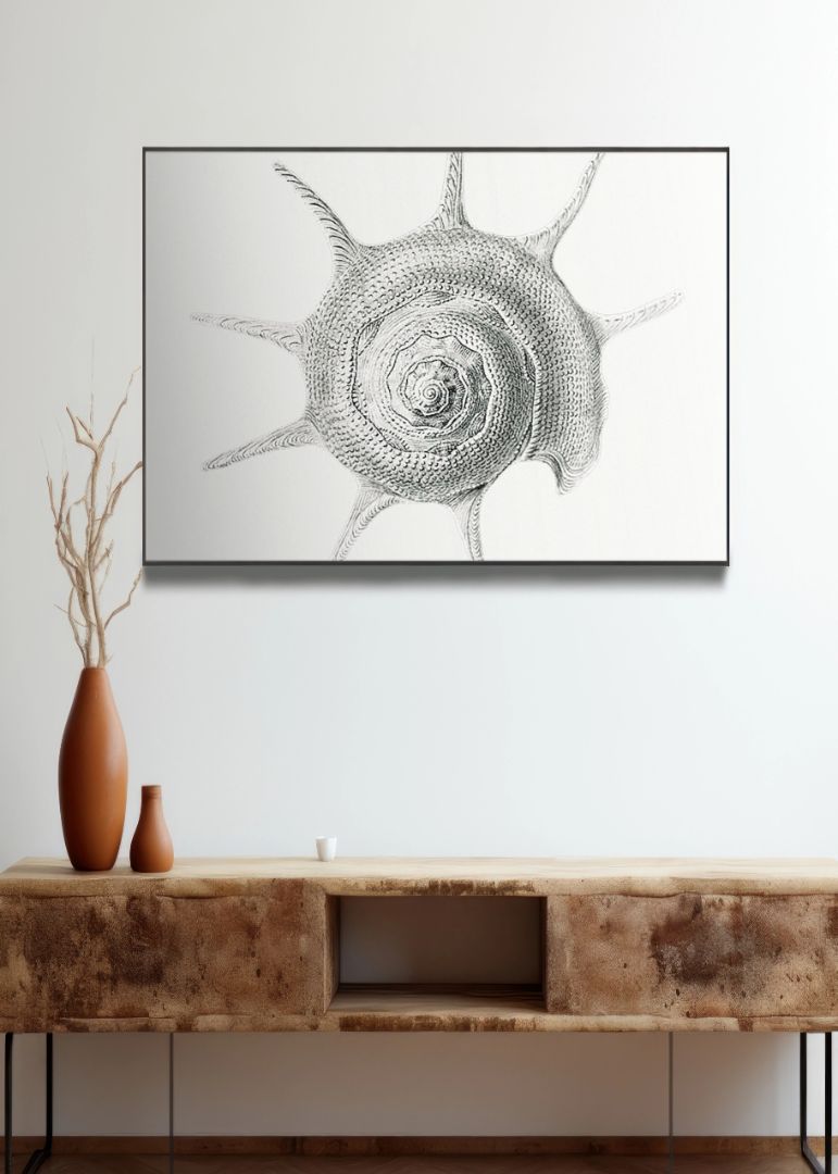 Vintage aquatic snail