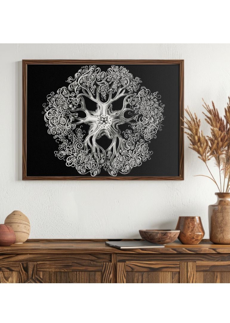 Vintage brittle star I