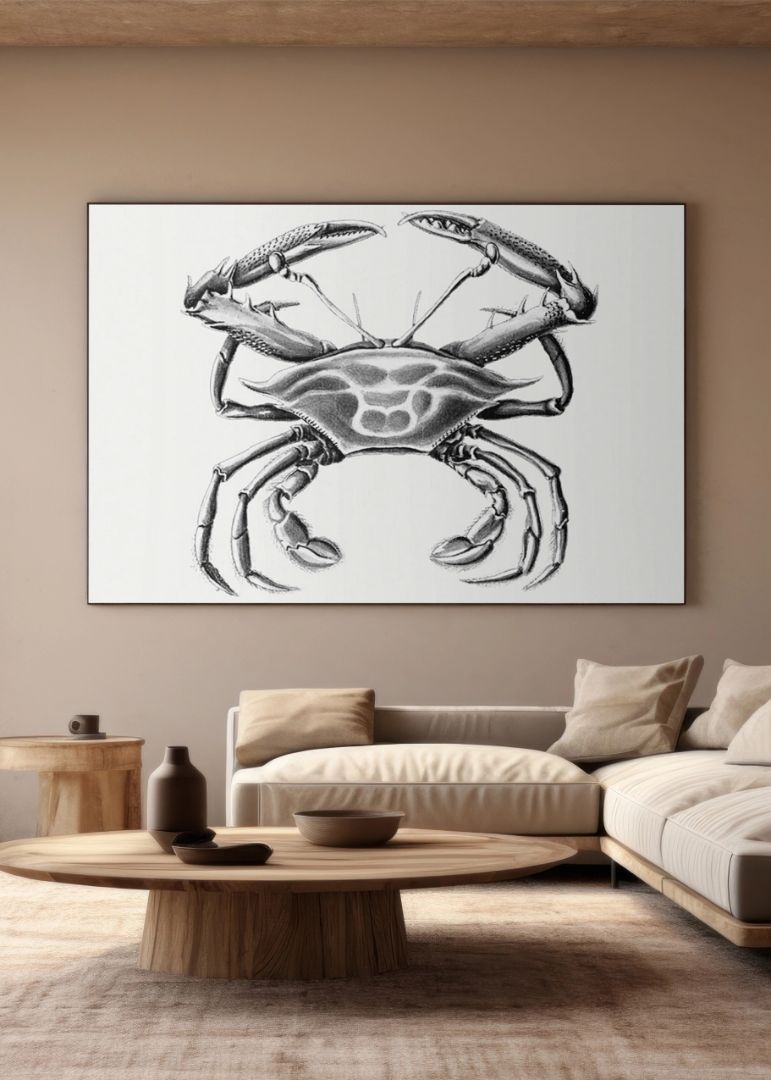 Vintage crab marine life