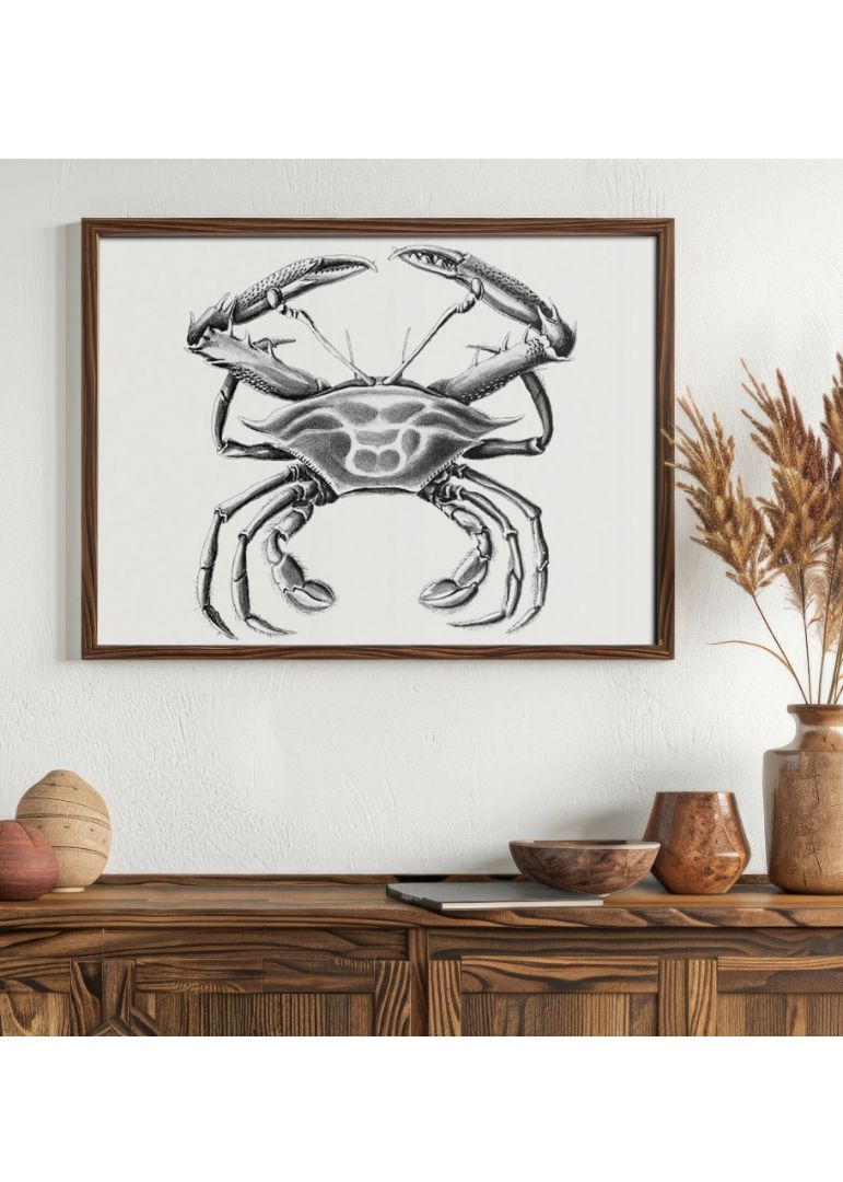 Vintage crab marine life