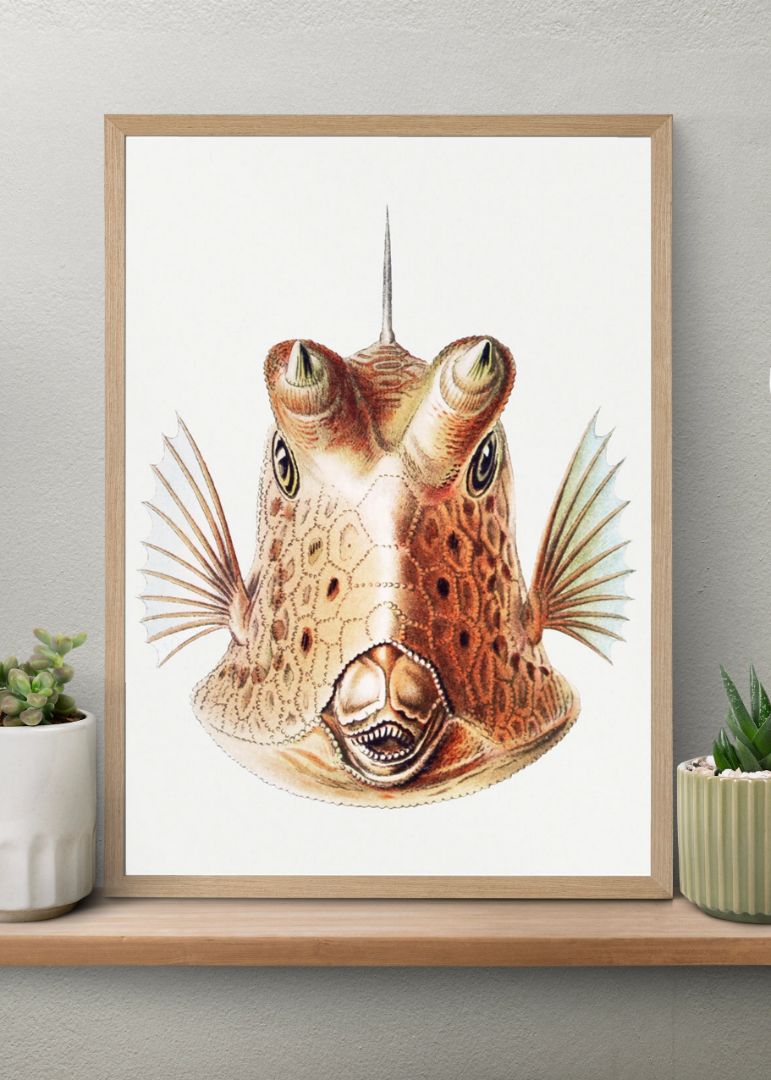 Vintage fish II
