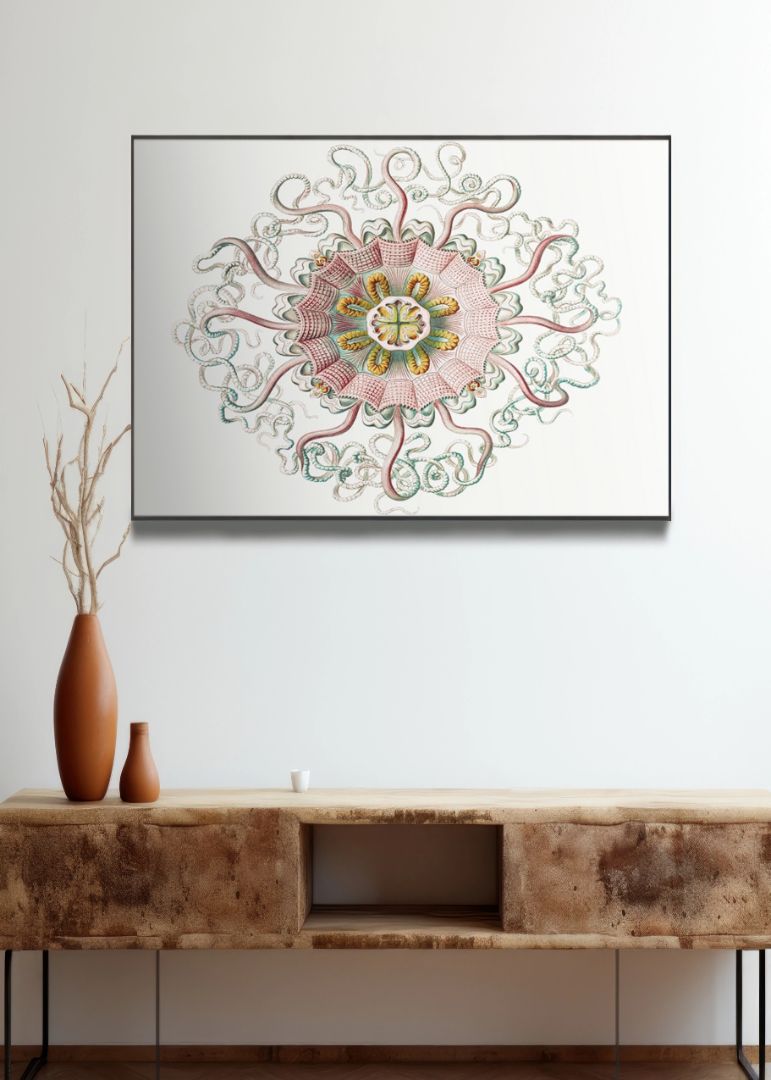 Vintage jellyfish marine life I