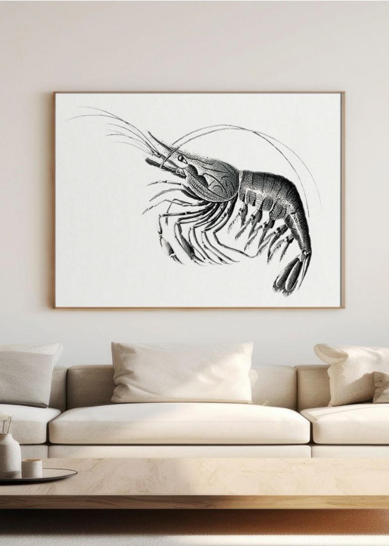 Vintage prawn marine life III