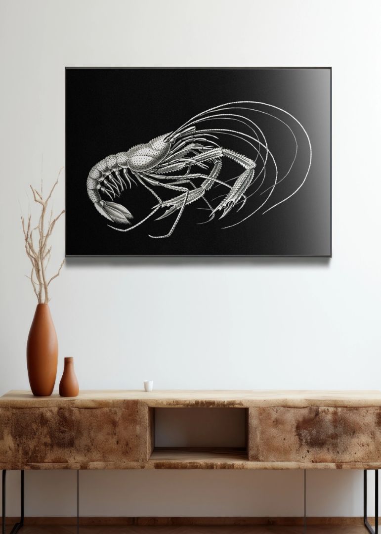 Vintage prawn marine life IV