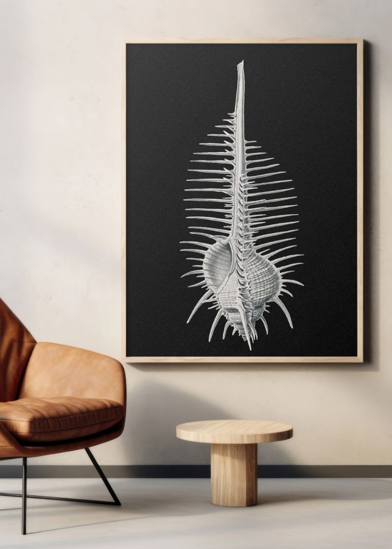 Vintage shell marine life III