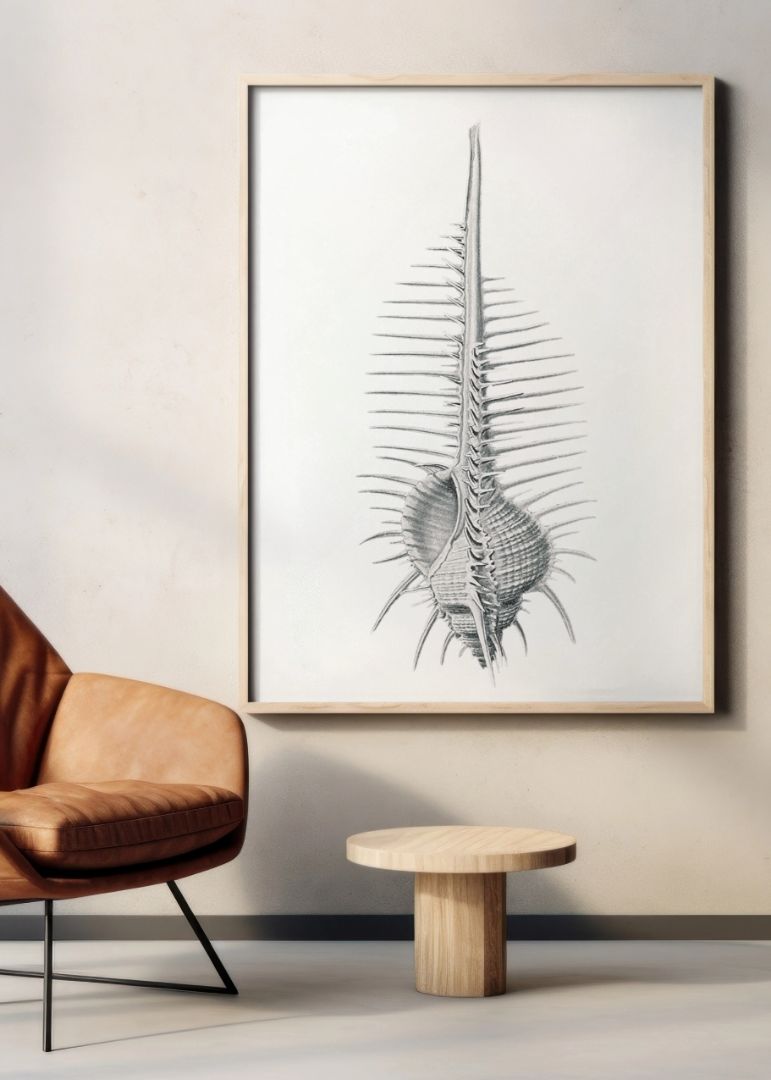 Vintage shell marine life V