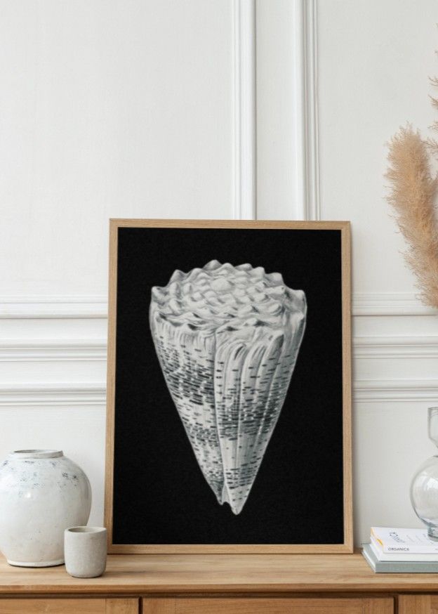 Vintage shell marine life VI