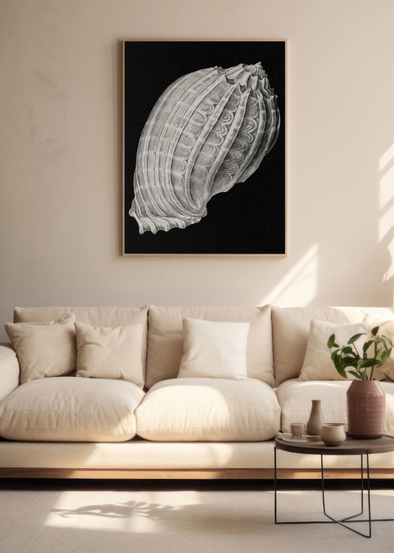 Vintage shell marine life VIII
