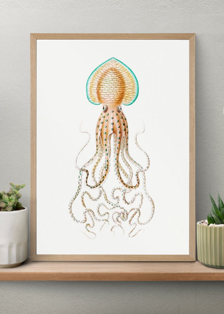 Vintage squid marine life I