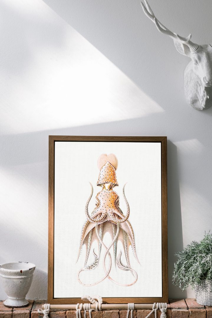 Vintage squid marine life II