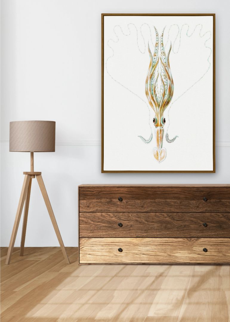 Vintage squid marine life III