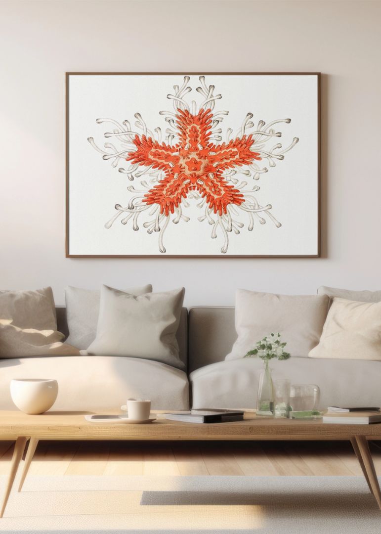 Vintage starfish marine life I