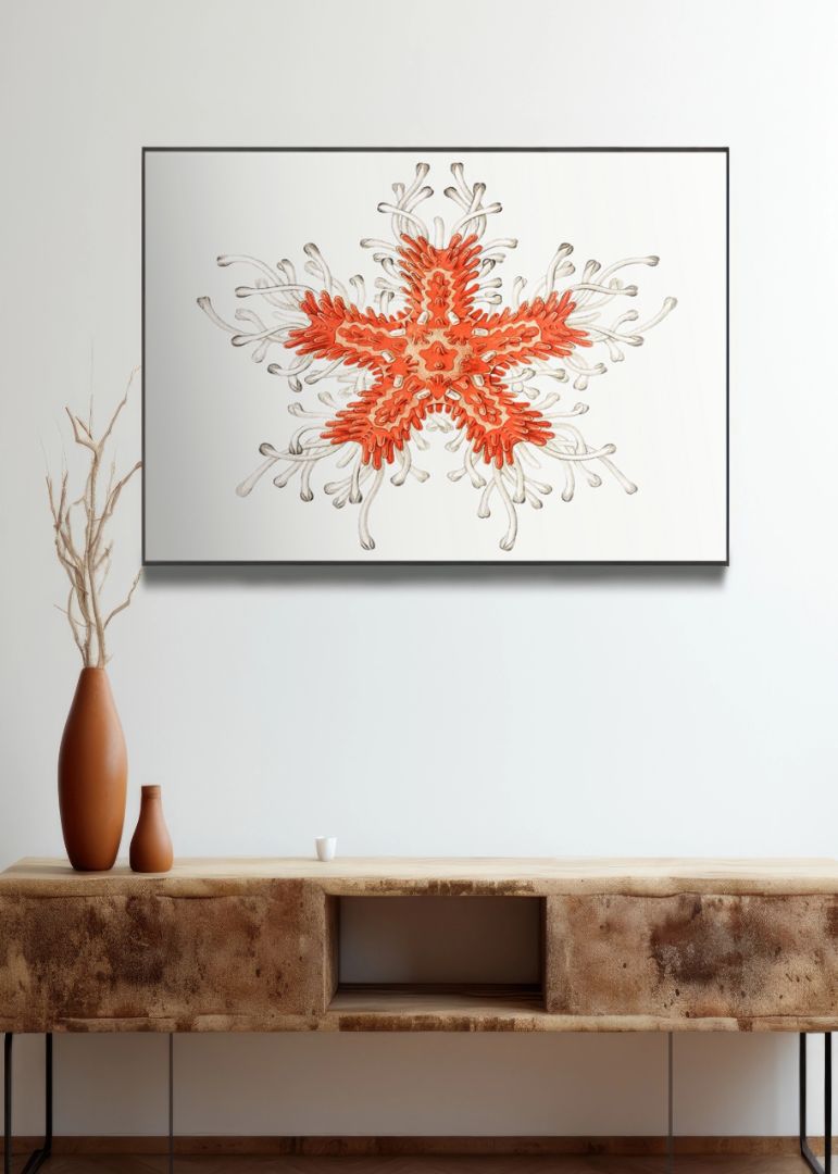 Vintage starfish marine life I