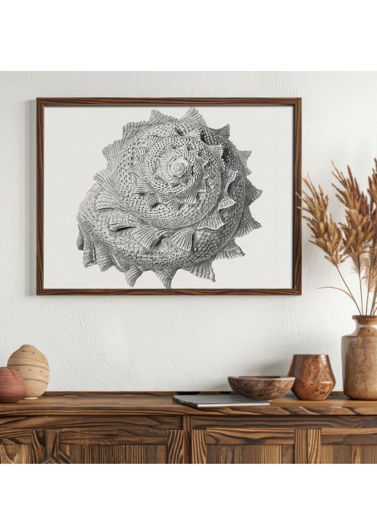 Vintage terrestrial snail I