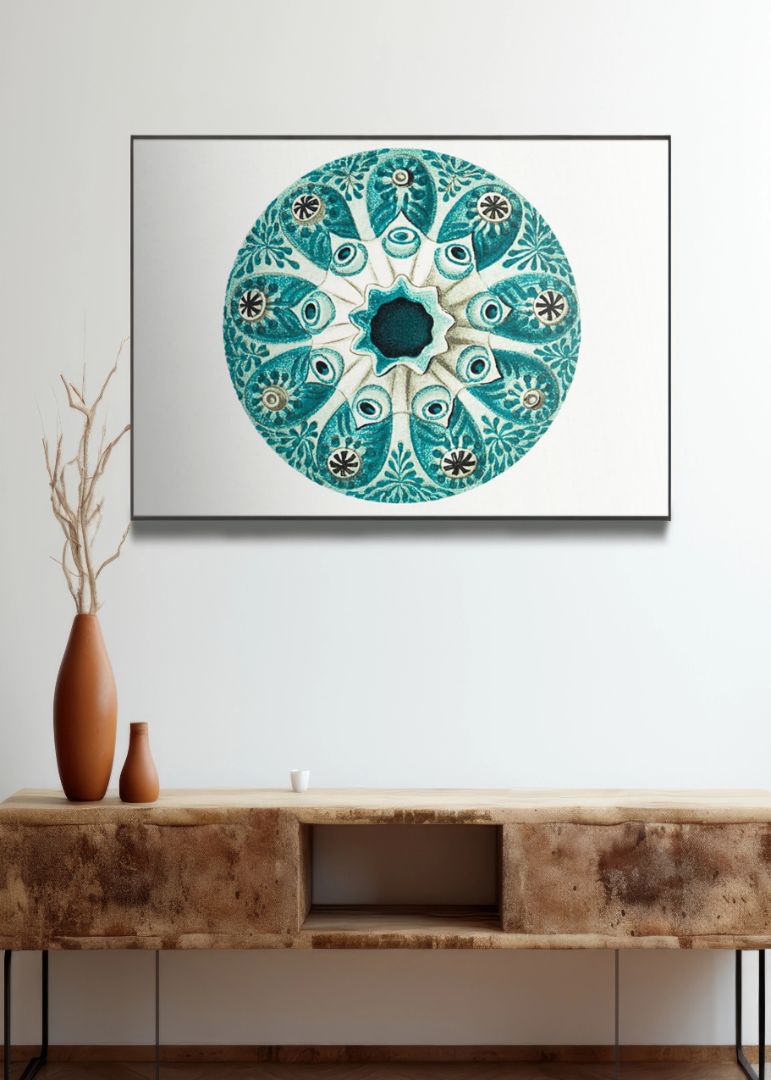 vintage tunicate I