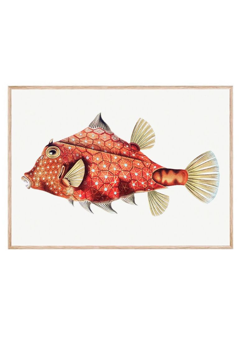 Vintage fish I