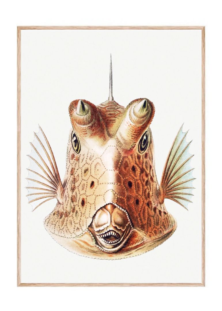 Vintage fish II