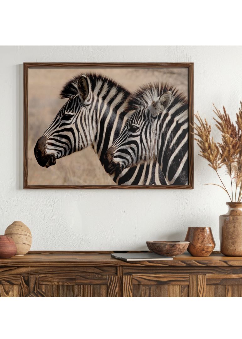 To zebraer