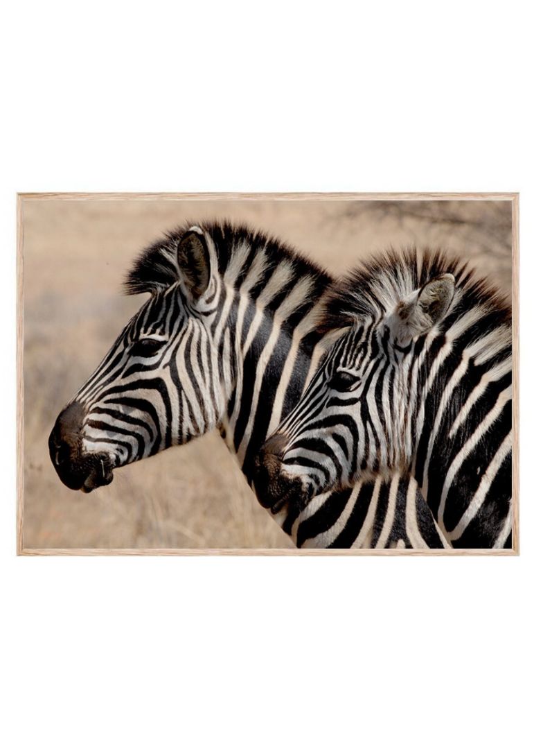 To zebraer