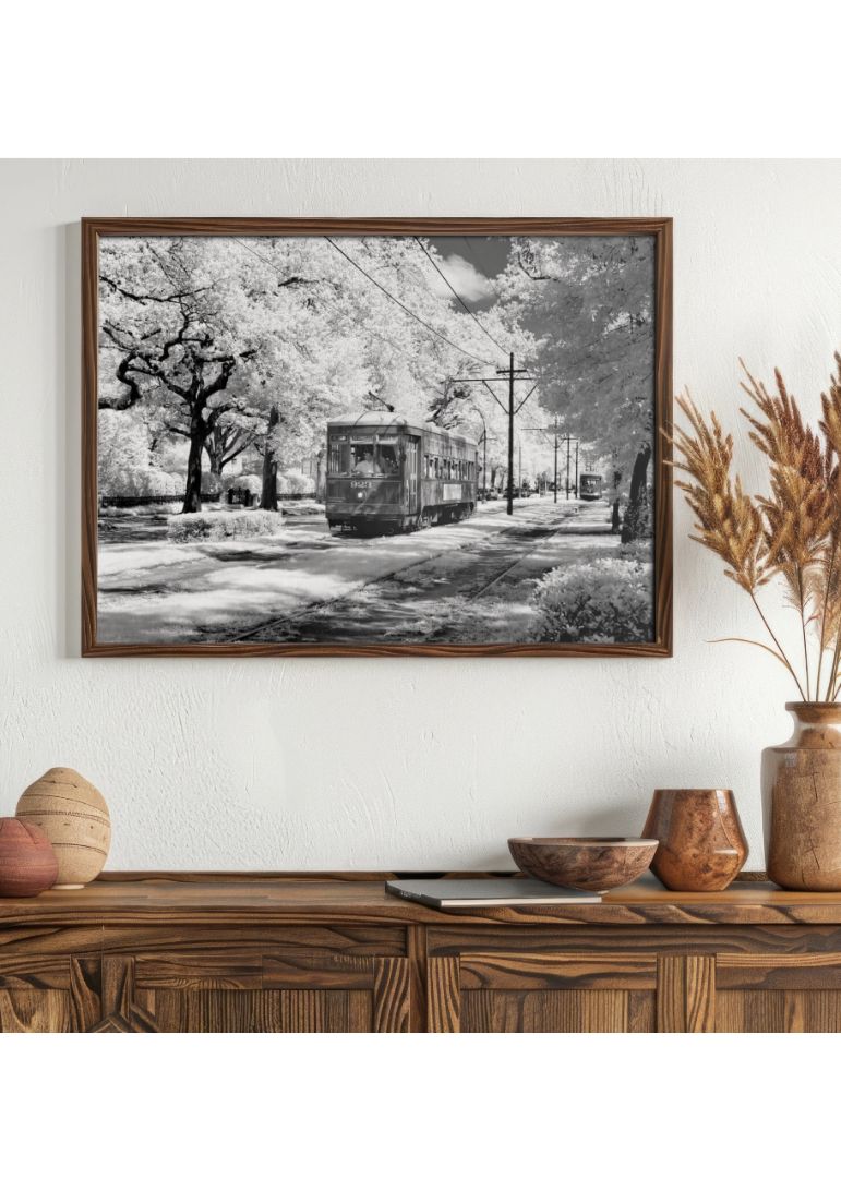 Infrared view of a streetcar on St. Charles Avenue