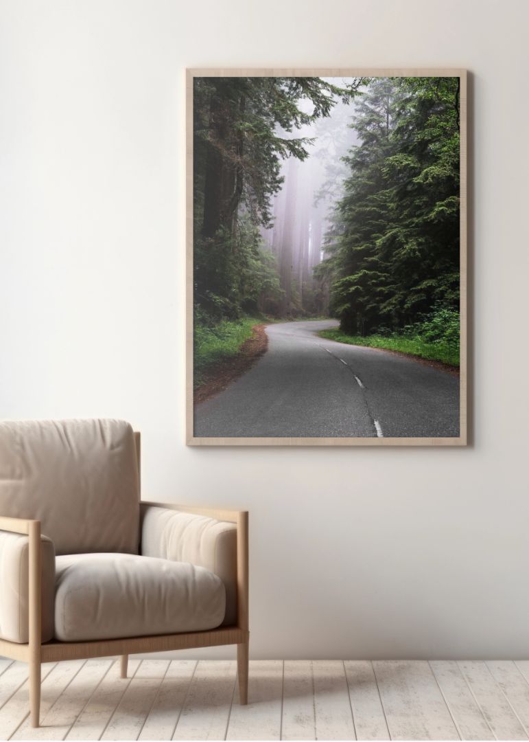 Redwood National and State Park