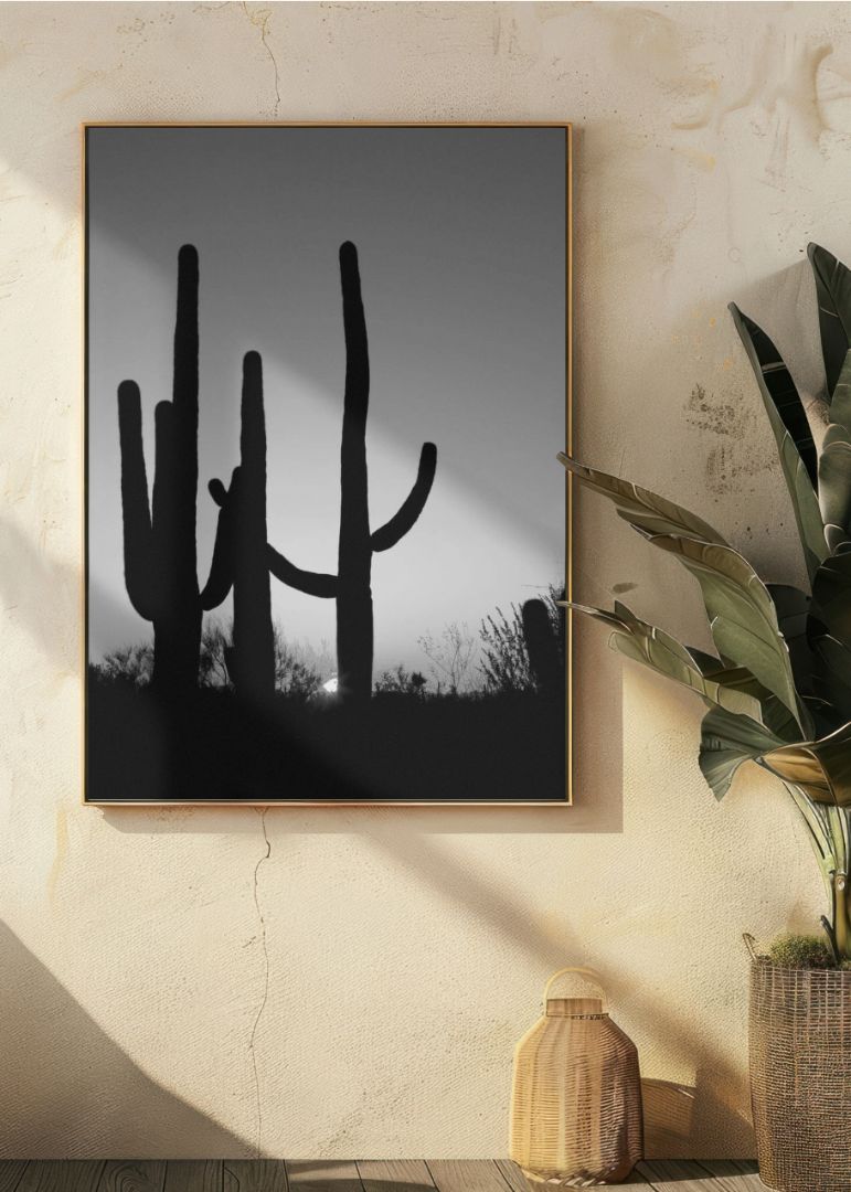 Saguaro Cactus near Tucson