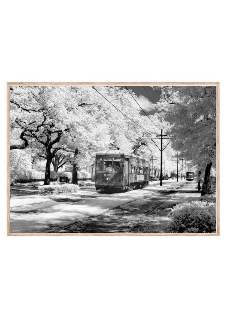 Infrared view of a streetcar on St. Charles Avenue