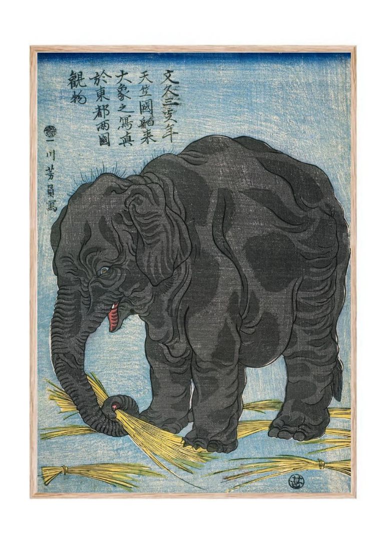 Large Indian elephant