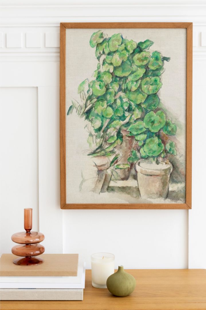Geraniums