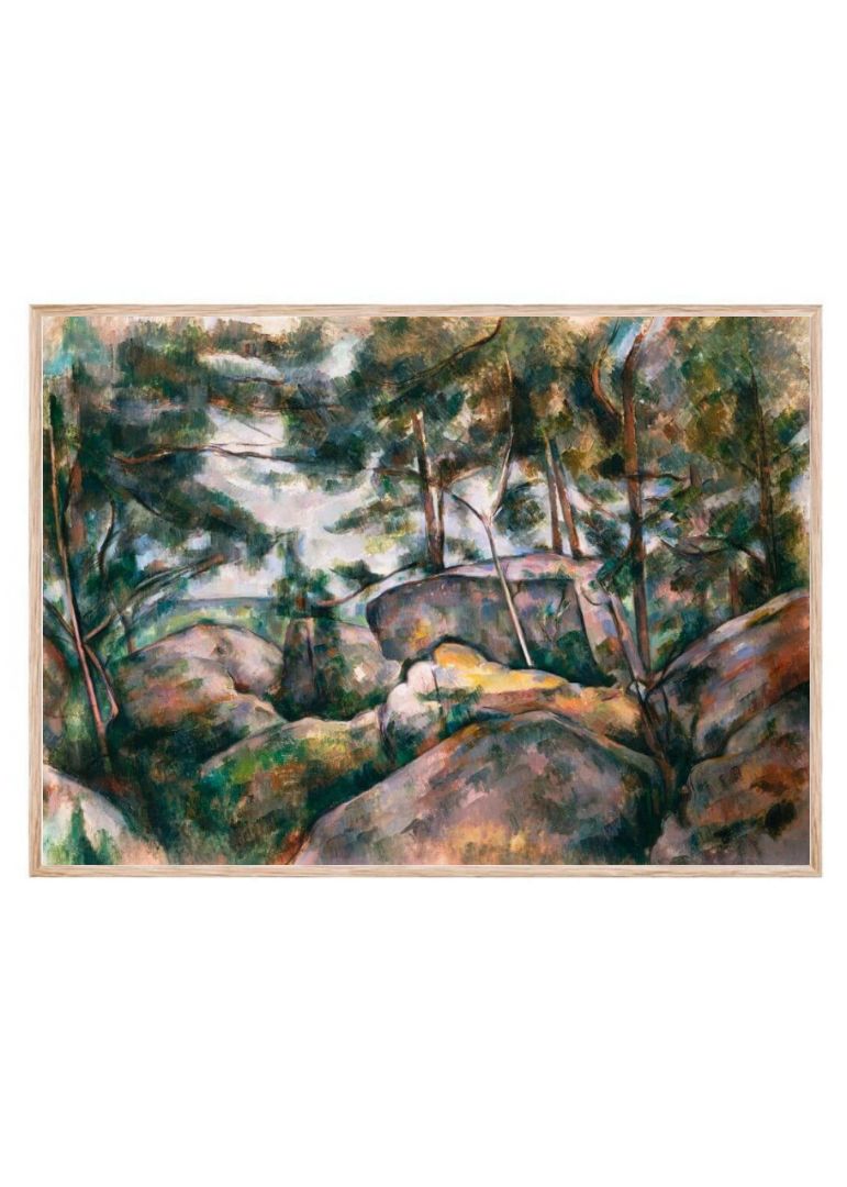 Rocks in the Forest