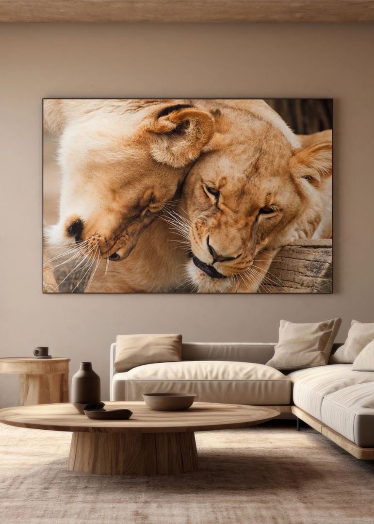 Forelskede løver foto