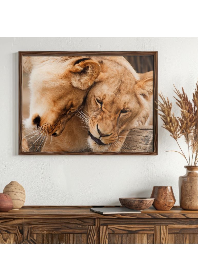 Forelskede løver foto