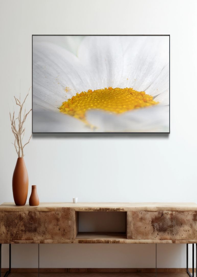 Foto af blomstring
