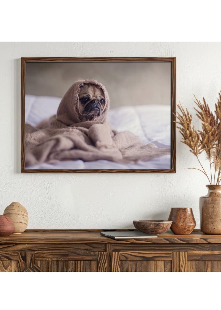 Hundehvalp svøbt i tæppe