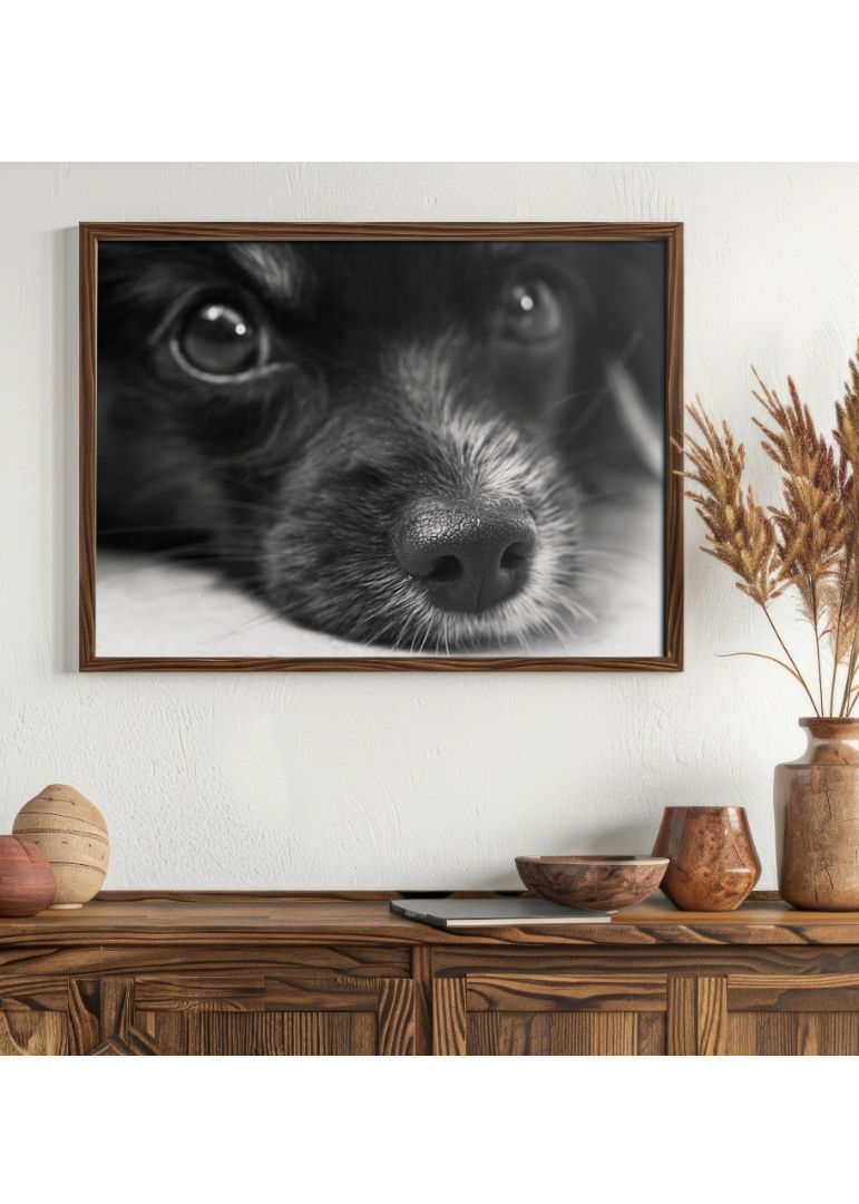 Sort hundehvalp foto