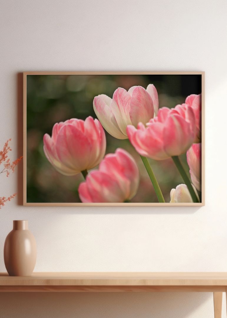 Tulipanernes forår