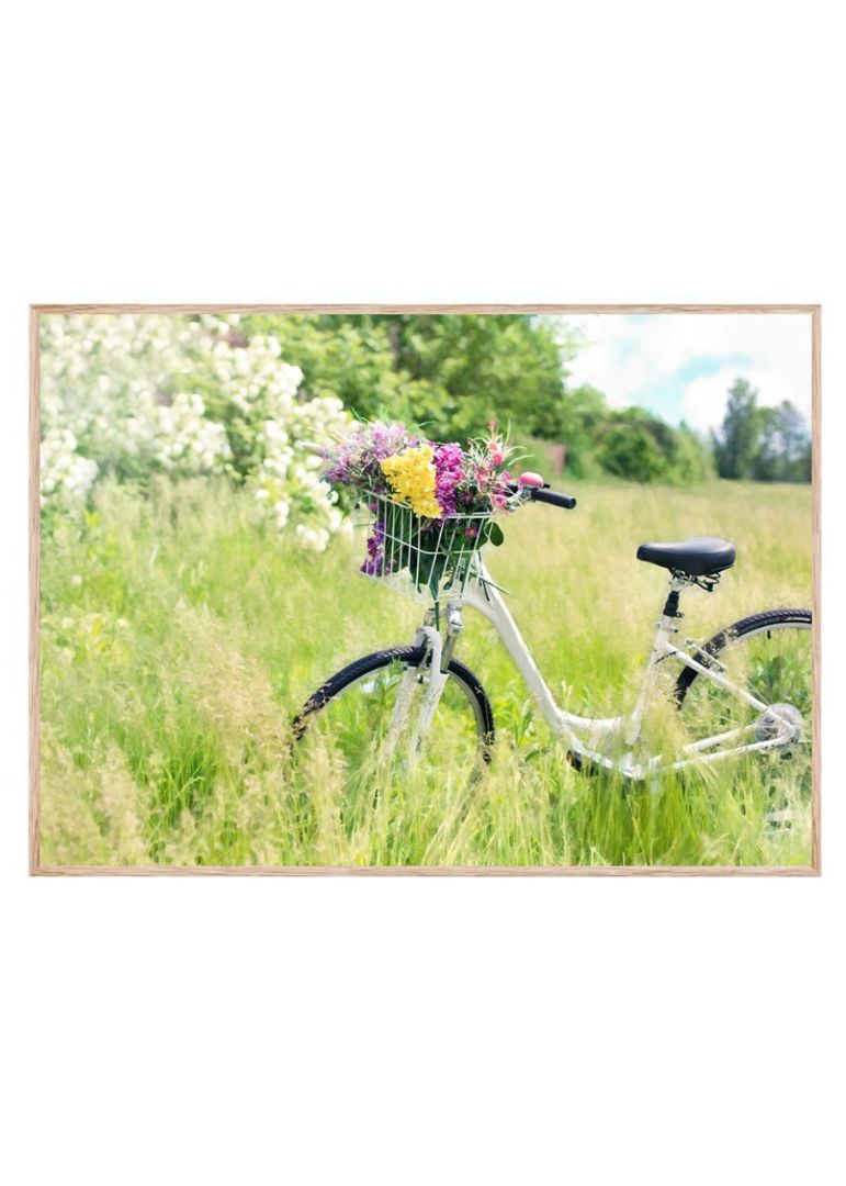 CYkel på græsmark