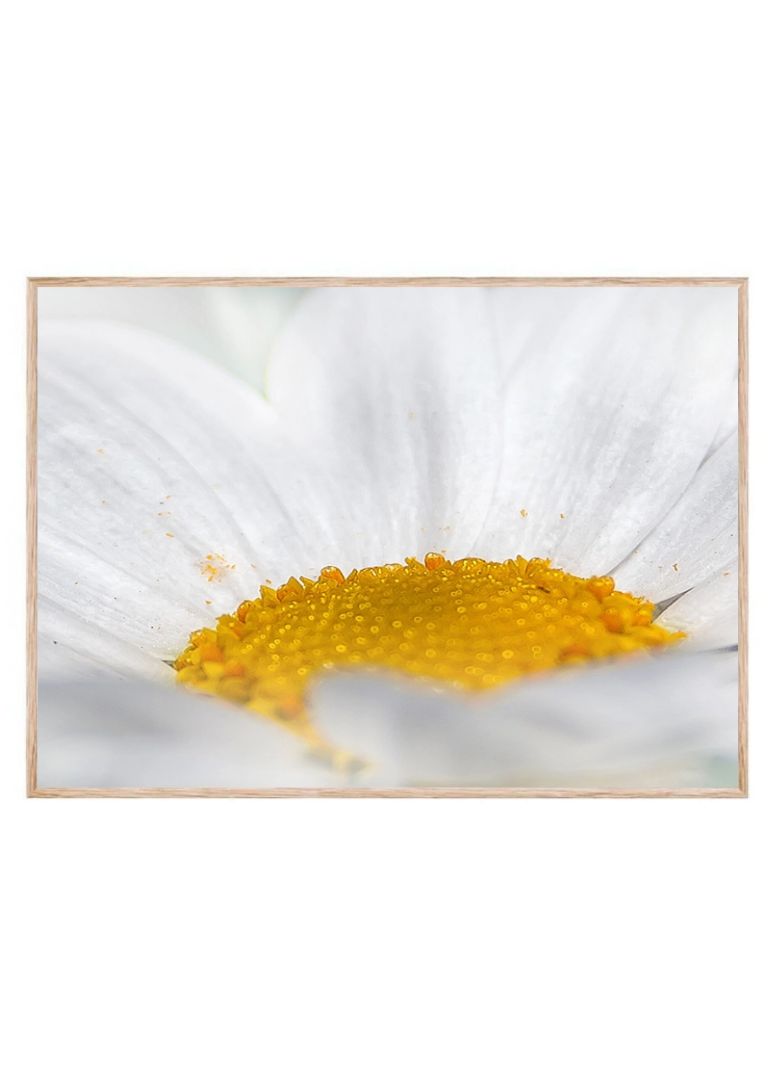 Foto af blomstring