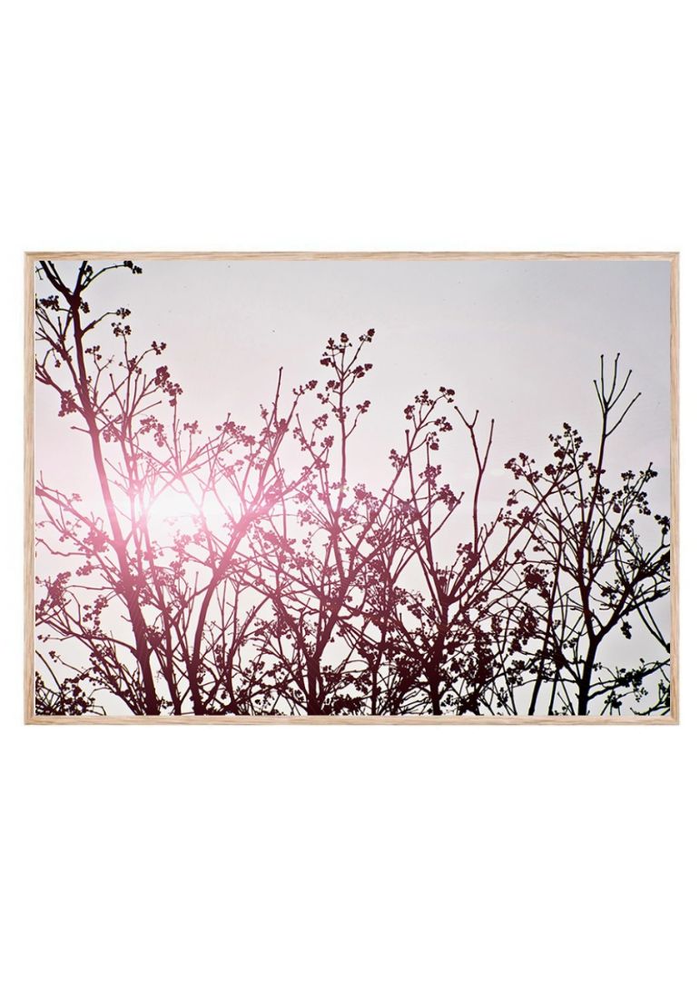 Solen skinner igennem