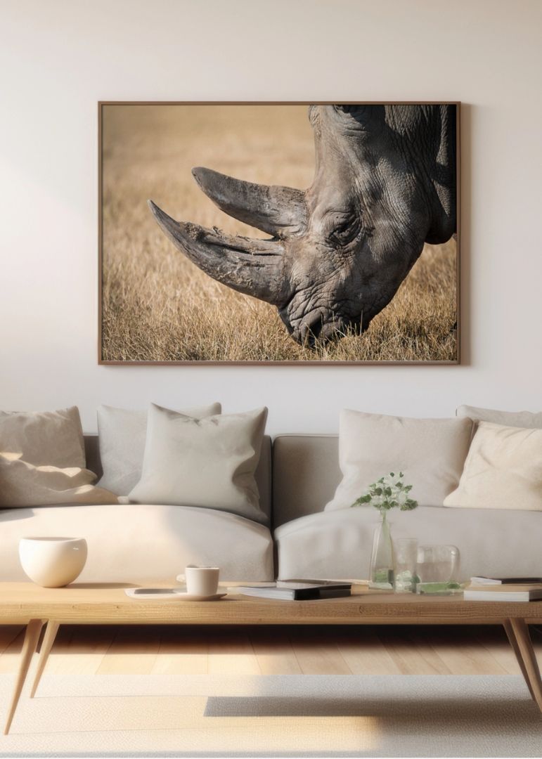 The rhino profile