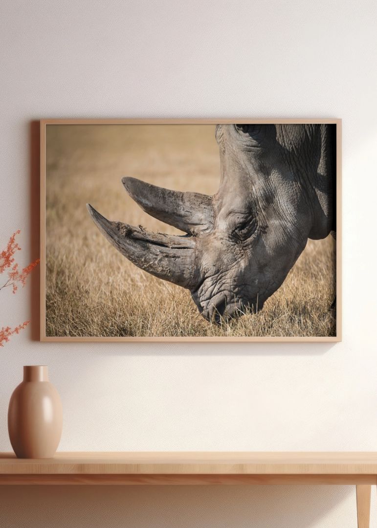 The rhino profile